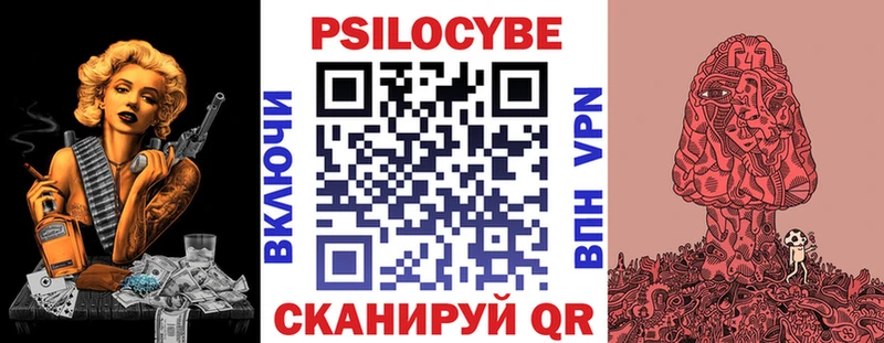 купить наркотик  Электросталь  Галлюциногенные грибы мицелий 