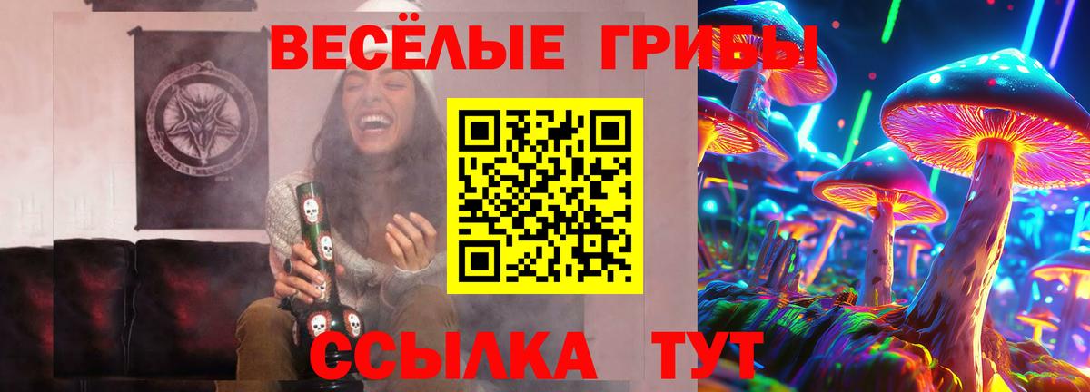Галлюциногенные грибы прущие грибы  Вход с VPN  Электросталь  Псилоцибиновые грибы MAGIC MUSHROOMS 
