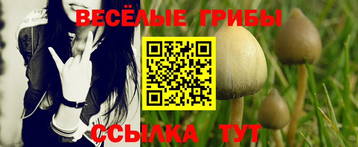 Галлюциногенные грибы прущие грибы Электросталь
