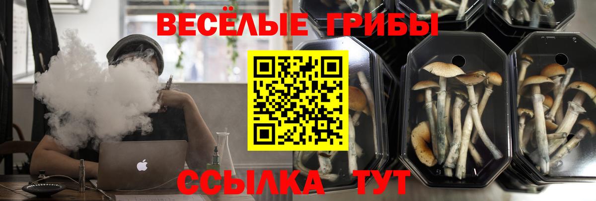 Галлюциногенные грибы Psilocybine cubensis  где купить   Псилоцибиновые грибы Cubensis  Электросталь 