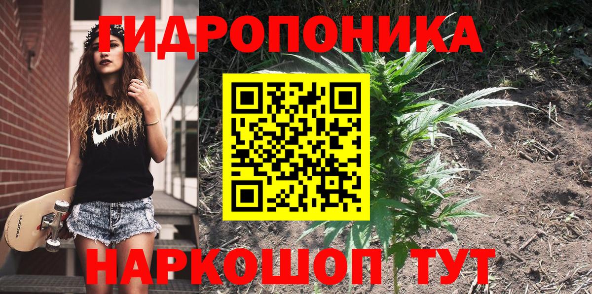 Бошки Шишки гибрид  Каннабис конопля  Вход с VPN  Электросталь  Бошки марихуана марихуана  МАРИХУАНА Amnesia 